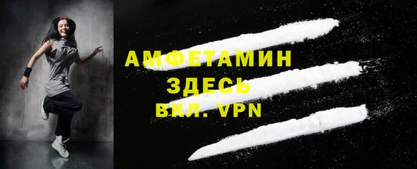 гидра Туринск